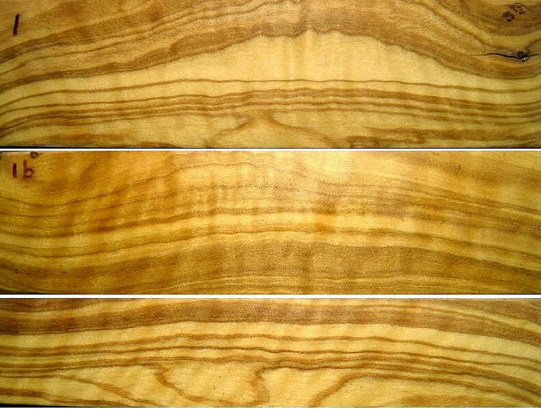 Mediterranean Olive wood knife blanks