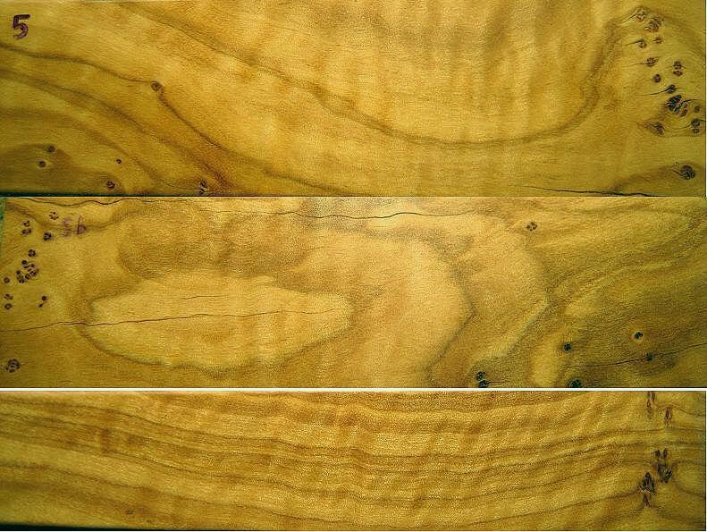 Curly Olive Wood Knife handle blocks