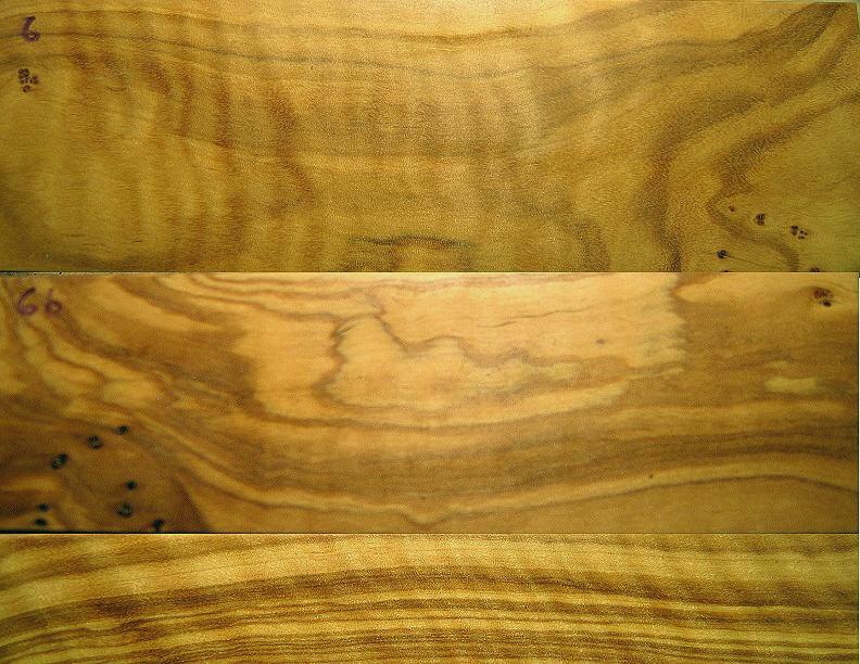 Curly Olive Wood Knife scales