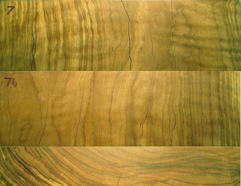 Curly Olive Wood Knife scales